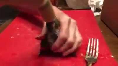 Error bird