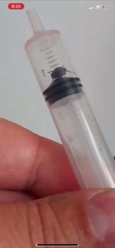 Be sure it&rsquo;s the proper dosage.
