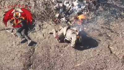 Ukrainian drone drop grenades on Russian infantry, Donetsk