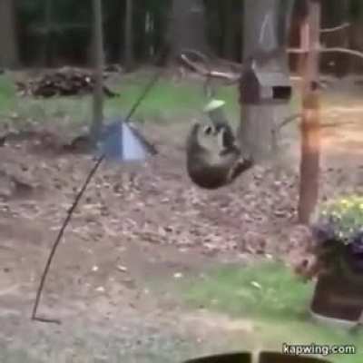 Maybe Maybe Maybe