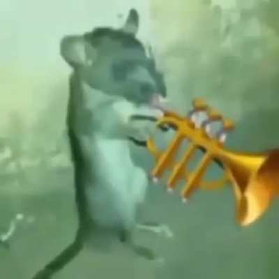 Saf yetenek