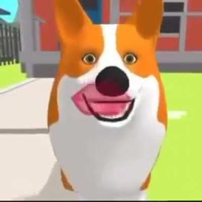 🐶