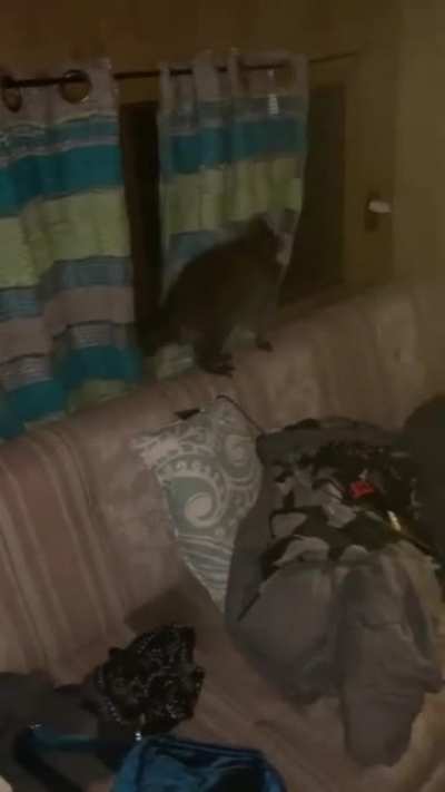I was totally vibing with them until they terrorized me in my own camper