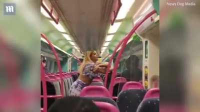 Essex's finest goes on an anti-black, anti-Algerian violent rampage on a train