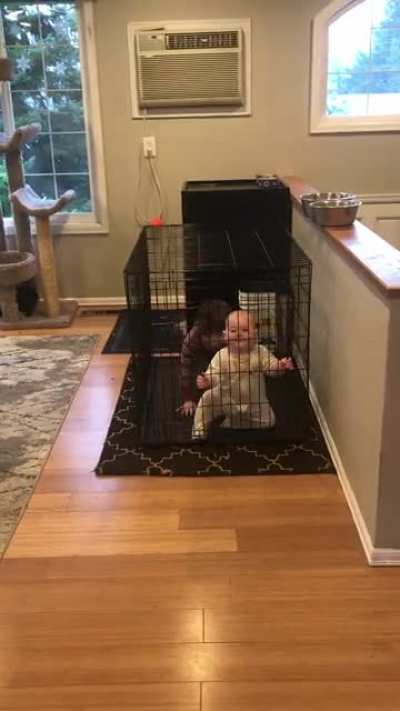 I&rsquo;m thinking of opening a zoo