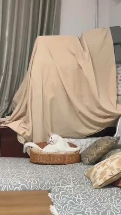 Falling From Your Sleep...to Sleep Again