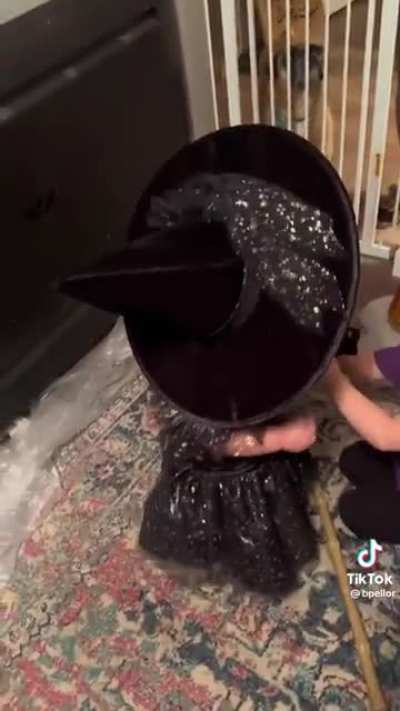 Parent: Are you a good witch or a bad witch? Baby: I&rsquo;m a bad Bitch. I know that&rsquo;s right 😂😂😂