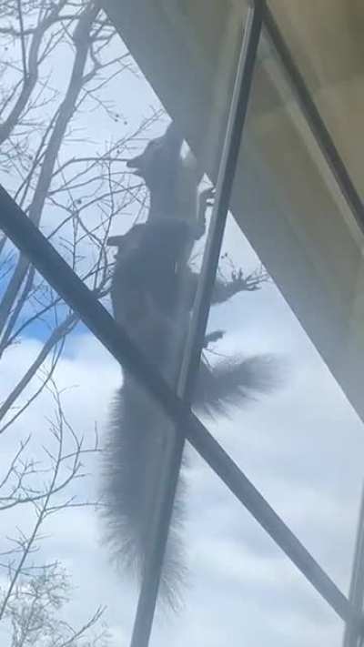 My sister looked out of her window and saw this&hellip;