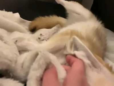 Sleep time 💤
