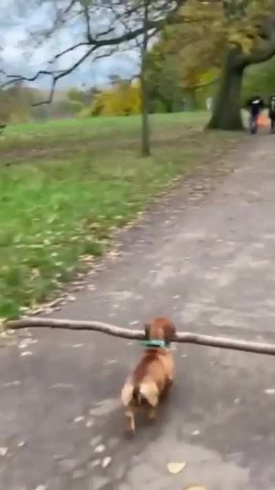a real stick man 