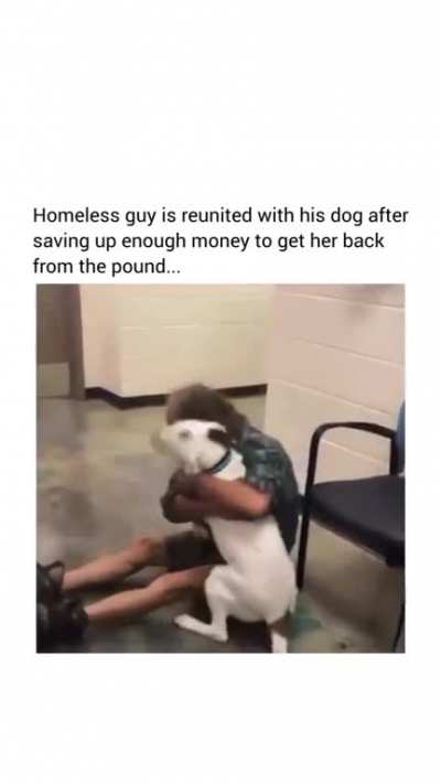 So happy dog