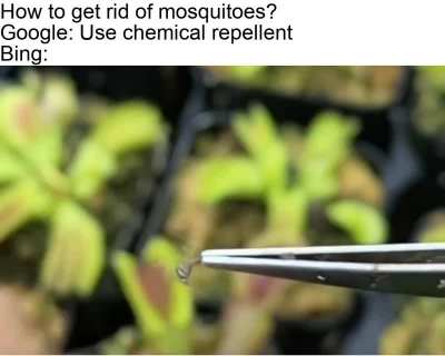 So hard to feed plants these days