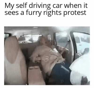 Furry is not a sexuality