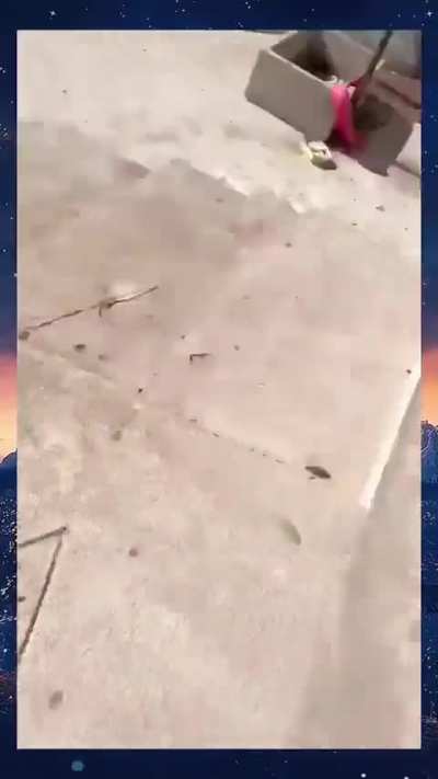 Head on Collision