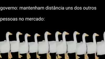 True