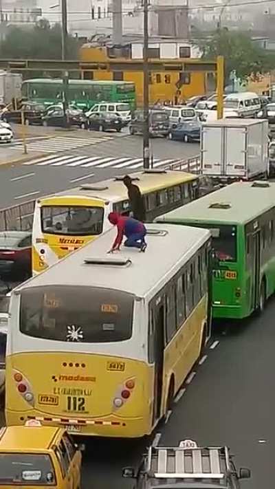 SpiderMna vs VeMon