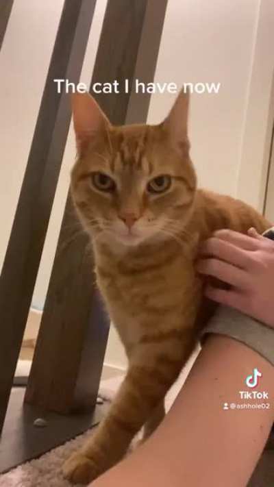 The cat I&rsquo;ll never forget