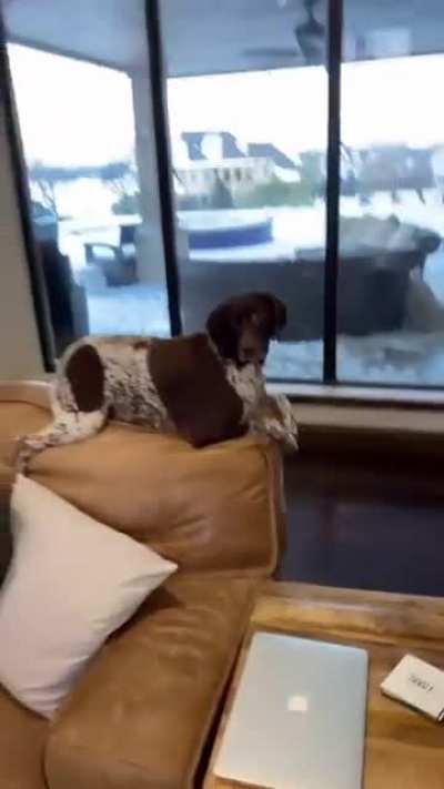 Adorable!