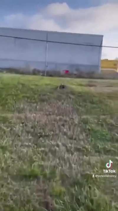 Dude uses falcon ammo for drive-by
