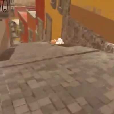 jeito certo