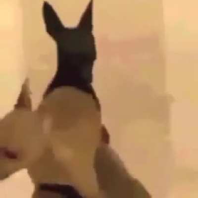 Танец