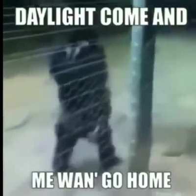 Me wan&rsquo; go home