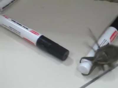 He's going to town woth that marker