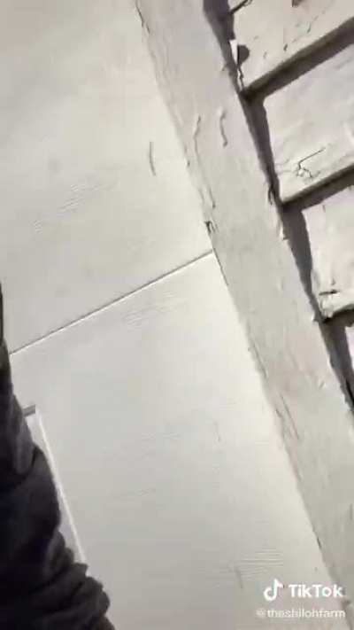 Just wait for it