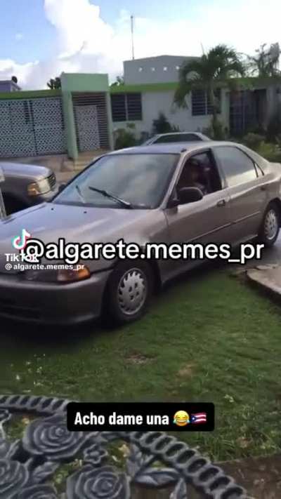 Salchicha?