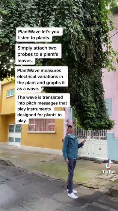Plants Playing Music&hellip;