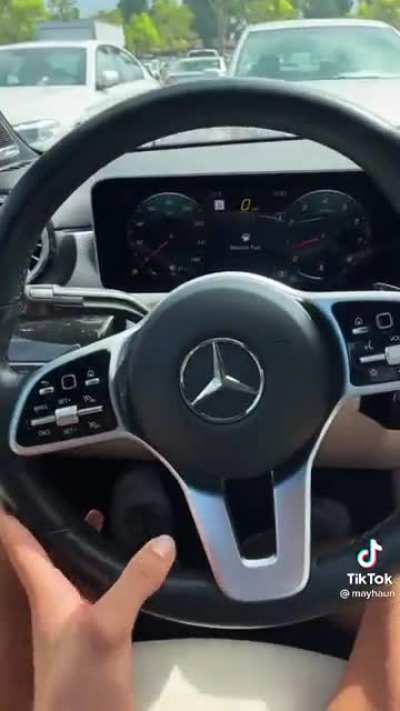 Sir please stop molesting the steering wheel