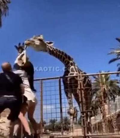 Grab him