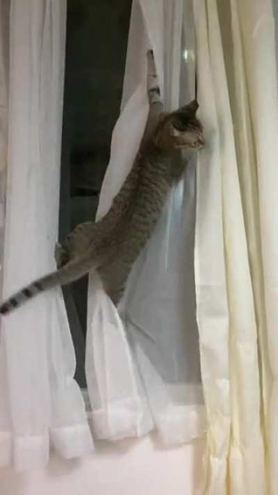 To hell with these curtains