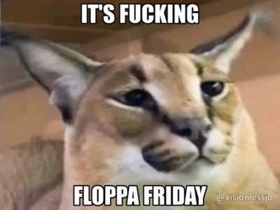 Return to Floppa my dudes