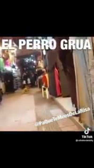 jajaj