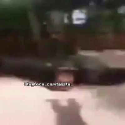 Mono truco mientras se escucha luis miguel de fondo
