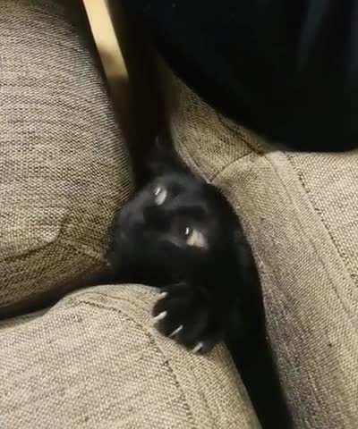 A spy from nowhere