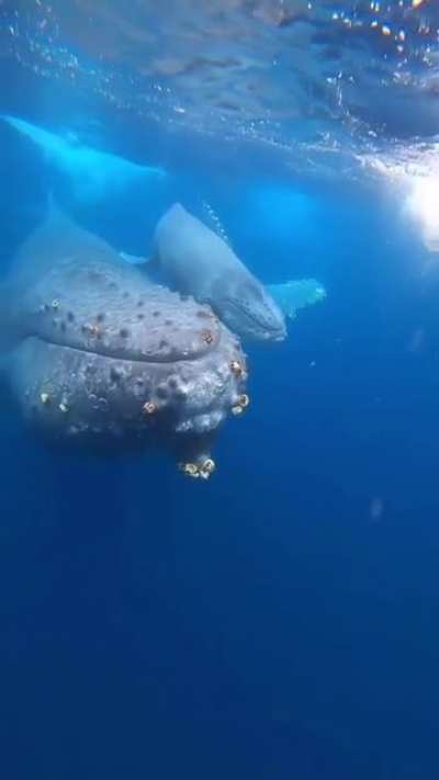Mother and child