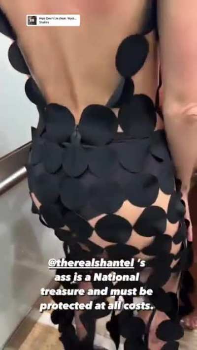shantel vansanten