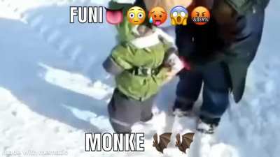 Monke type beat 😳😎😎(slaps harder than mr. wilson)