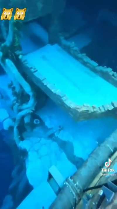 What a pool