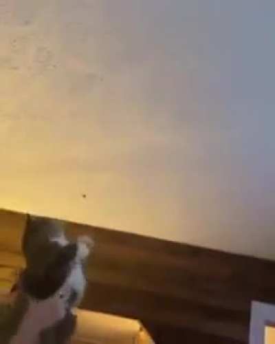 &ldquo;come on socks, get your shit together!&rdquo;