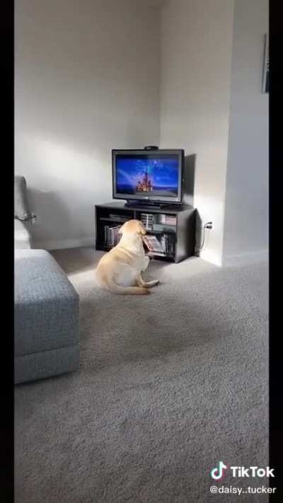 This is me.