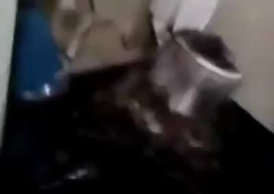 dispensador de cola