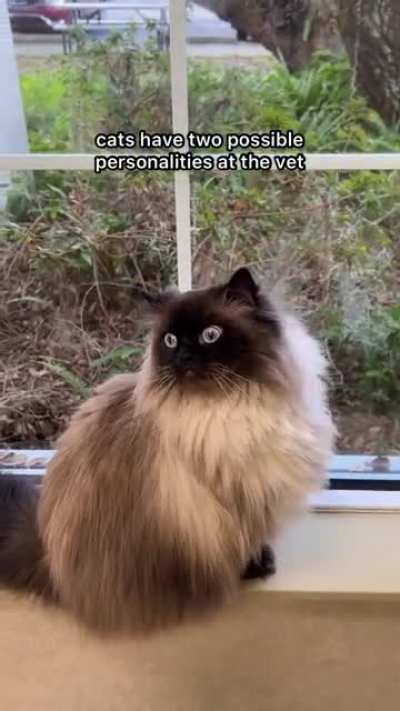 we have one of each