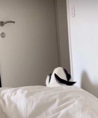 The Alarm Is Set For Derp o&rsquo;clock