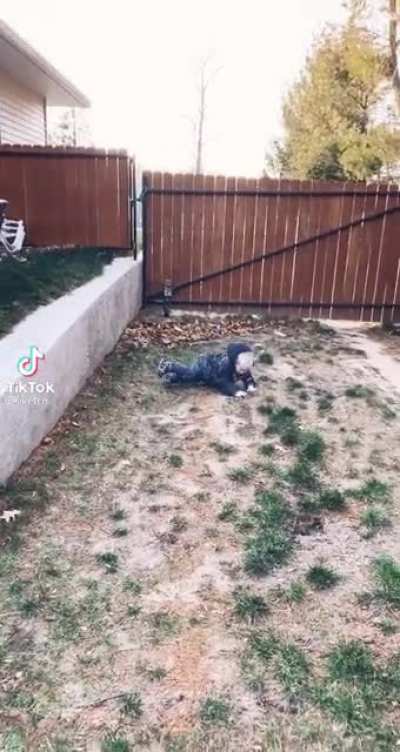 Parkour!
