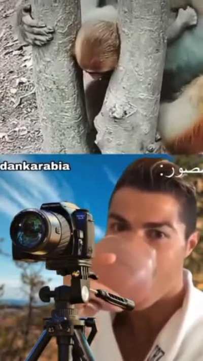 📷😃😃😃