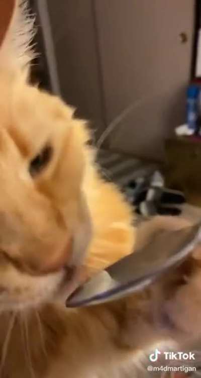 You can have one bite