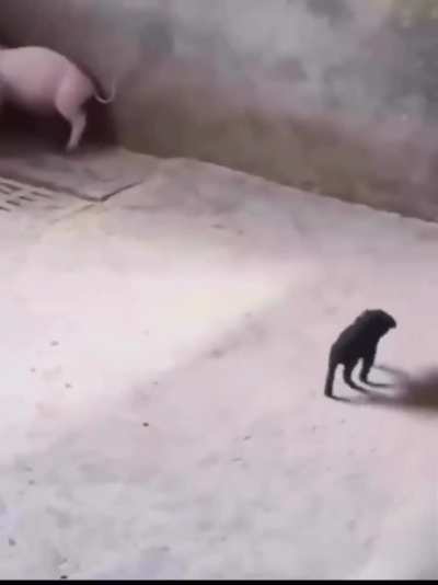 Huh